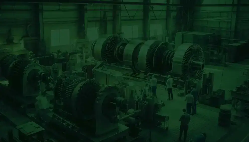 Sports Federations & Governing Bodies